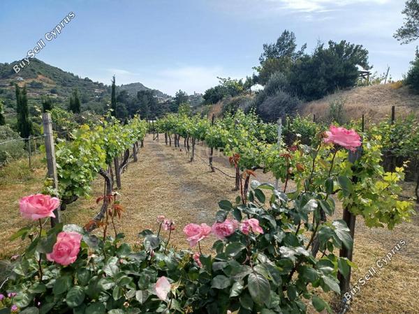 plot for sale kellaki limassol 8704907 image 16239186
