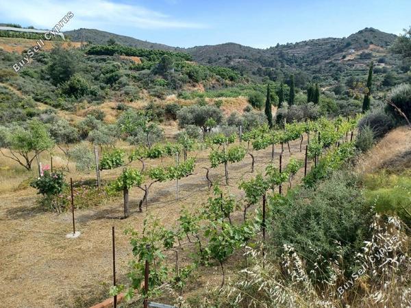 plot for sale kellaki limassol 8704907 image 16239187