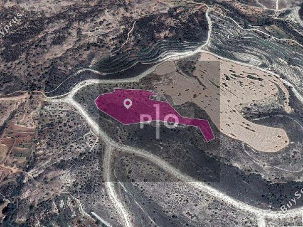 land for sale anglisides larnaca 8275017 image 15156949