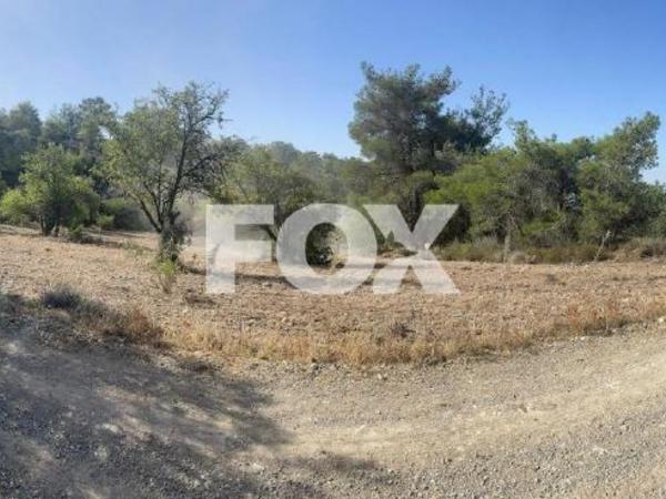 land for sale doros limassol 1886017 image 7121703