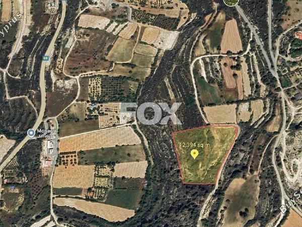 land for sale doros limassol 1886017 image 7121706
