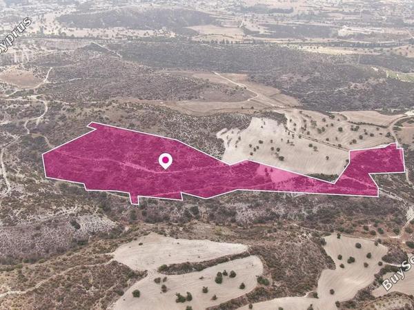 land for sale skarinou larnaca 8629017 image 15864798