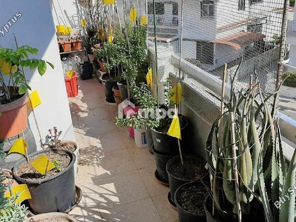 3 bedroom apartment for sale acropolis nicosia 1730117 image 5554423