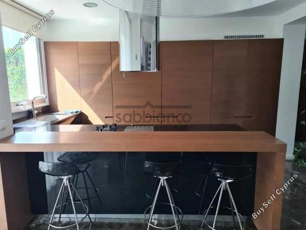 4 bedroom detached house for rent kato lakatamia nicosia 8749117 image 16472331