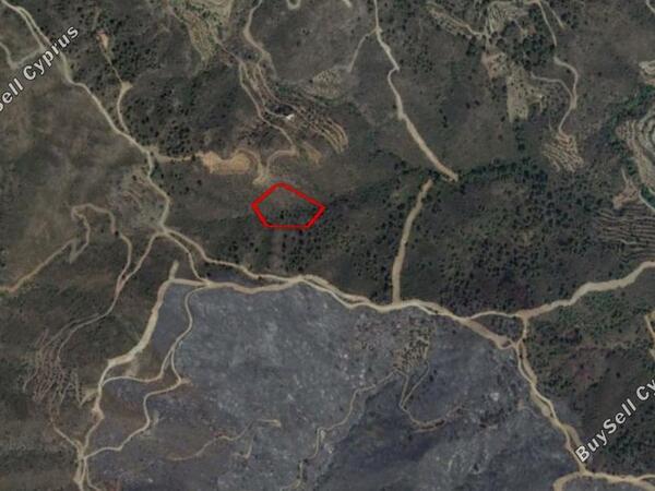 land for sale ora larnaca 831117 image 2828887