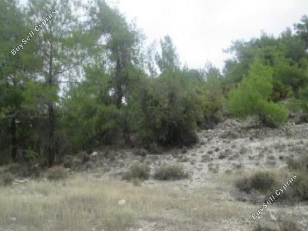 land for sale salamiou paphos 1785117 image 15597576