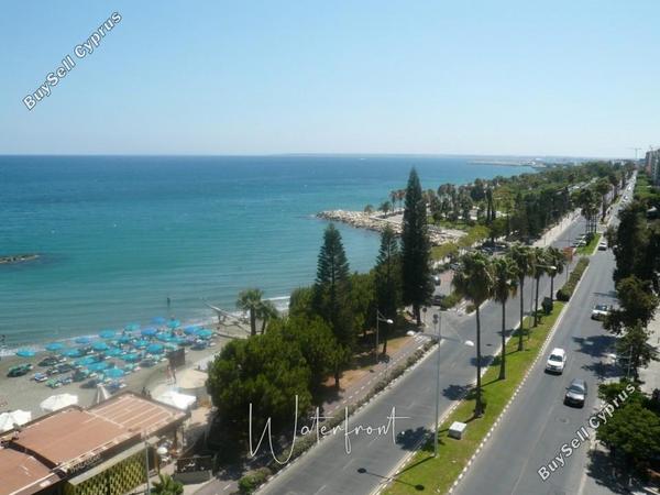 3 bedroom apartment for rent kato paphos paphos 8959217 image 17779236