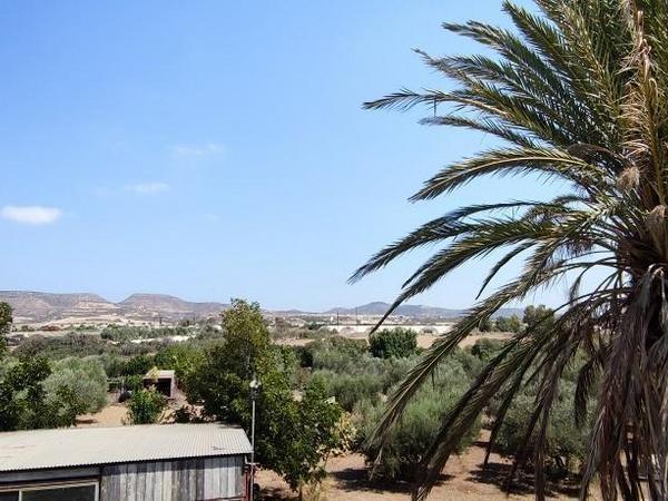 3 bedroom detached house for sale maroni larnaca 1819217 image 6328881