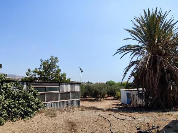 3 bedroom detached house for sale maroni larnaca 1819217 image 6328900