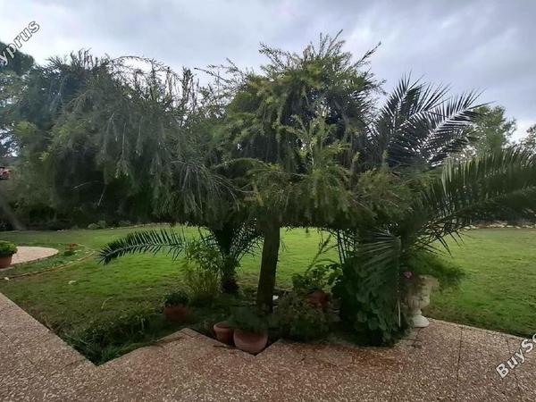 4 bedroom detached house for sale geri nicosia 1827217 image 13816135