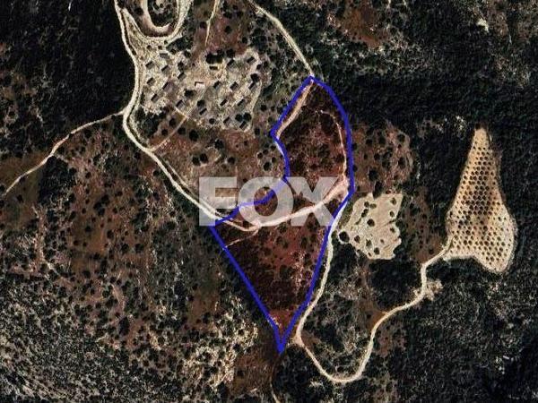 land for sale koili paphos 1301317 image 5588955