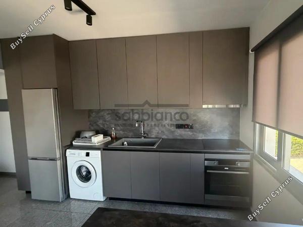 1 bedroom apartment rented verengaria limassol limassol 8753417 image 16630159