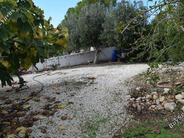 3 bedroom detached house for sale coral bay paphos 1684417 image 16695689