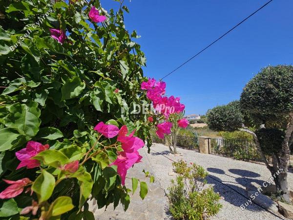 3 bedroom detached house for sale saint george peyia paphos 7812417 image 16238745