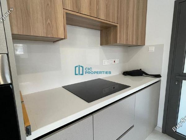4 bedroom detached house for sale livadia larnacas larnaca 7821417 image 12993743