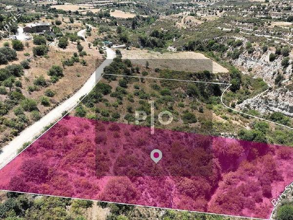 land for sale agios ambrosios limassol 8275417 image 15159600