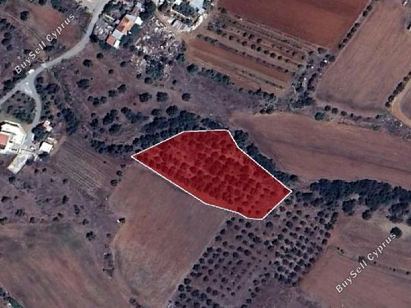 land for sale astromeritis nicosia 946417 image 3353333