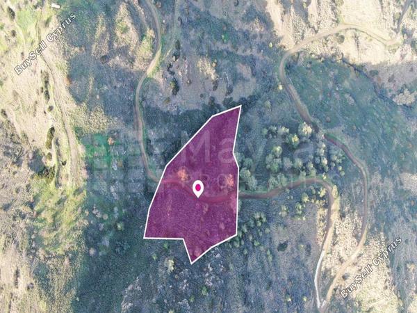 land for sale pigenia nicosia 7872417 image 11385127
