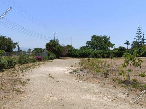 plot for sale neo chorio paphos 8237417 image 14228819