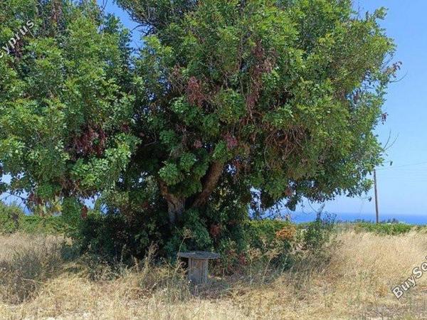 plot for sale neo chorio paphos 8237417 image 14228820