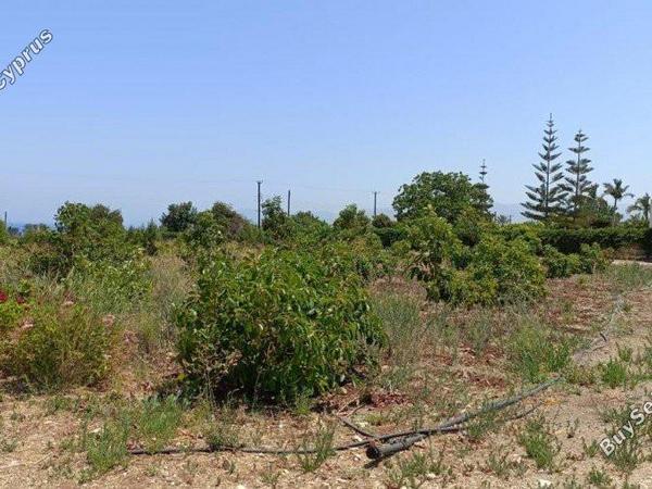 plot for sale neo chorio paphos 8237417 image 14228821