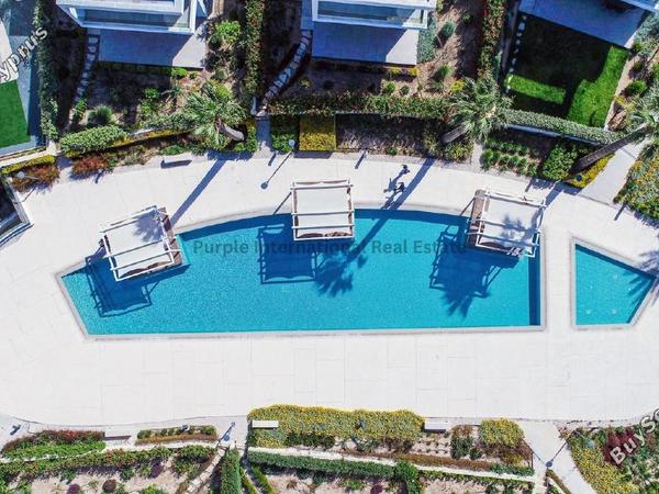 3 bedroom detached house for sale coral bay paphos 7546517 image 13867365