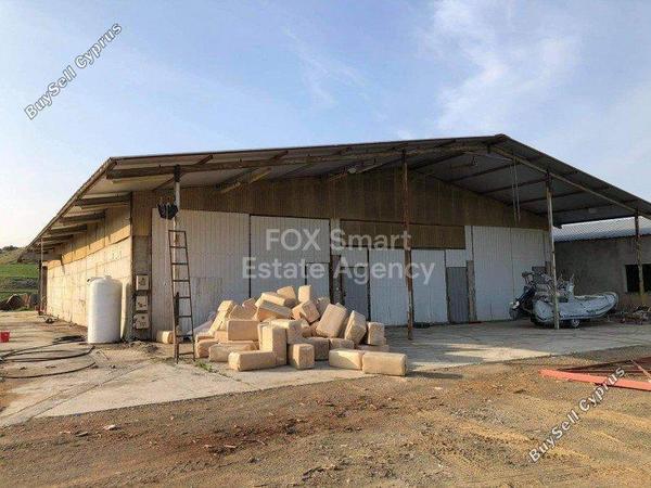 studio warehouse for rent kato koutrafas nicosia 1153517 image 12677395