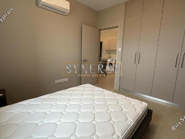 1 bedroom apartment for rent aglantzia nicosia 8745617 image 16434079