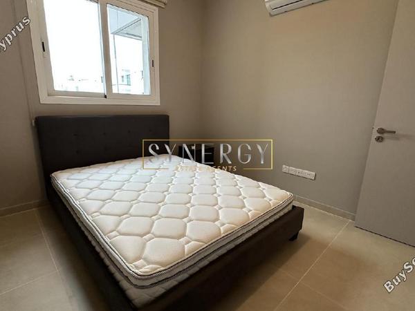 1 bedroom apartment for rent aglantzia nicosia 8745617 image 16434082