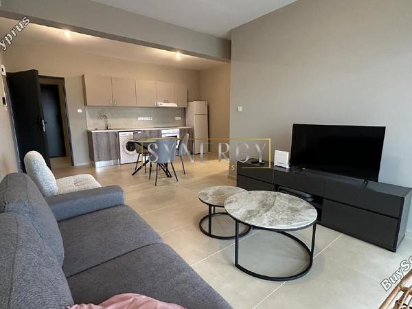 1 bedroom apartment for rent aglantzia nicosia 8745617 image 16434110