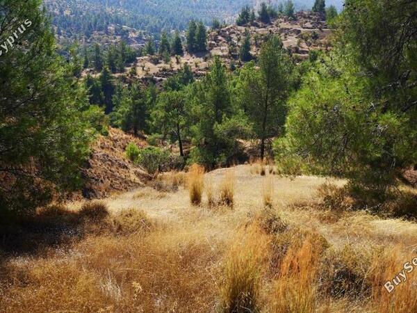land for sale agios theodoros soleas nicosia 839617 image 2891939