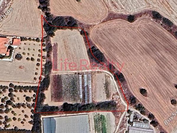 land for sale kalavasos larnaca 1501617 image 5825718