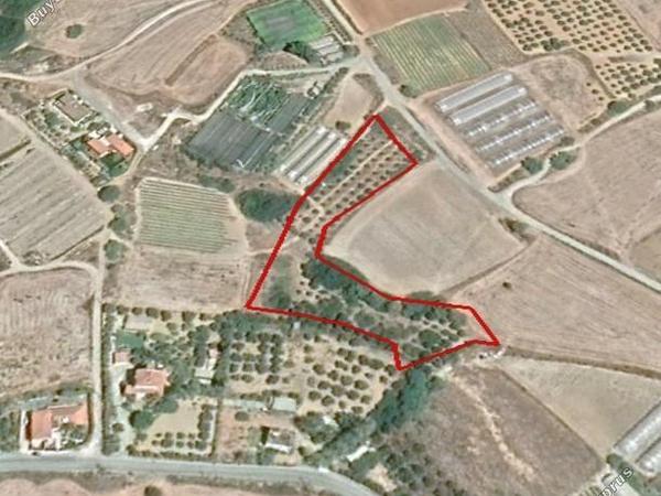 land for sale maroni larnaca 1850617 image 6692458
