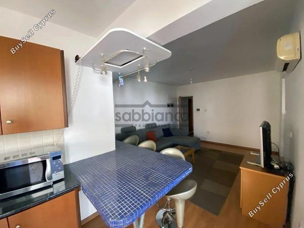 1 bedroom apartment for rent aglantzia nicosia 8743717 image 16414739