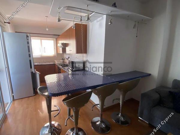 1 bedroom apartment for rent aglantzia nicosia 8743717 image 16414741