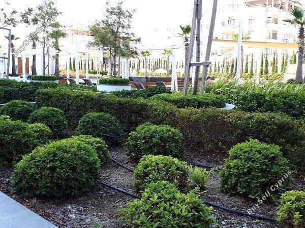 3 bedroom apartment for sale neapolis limassol 1684717 image 5185478