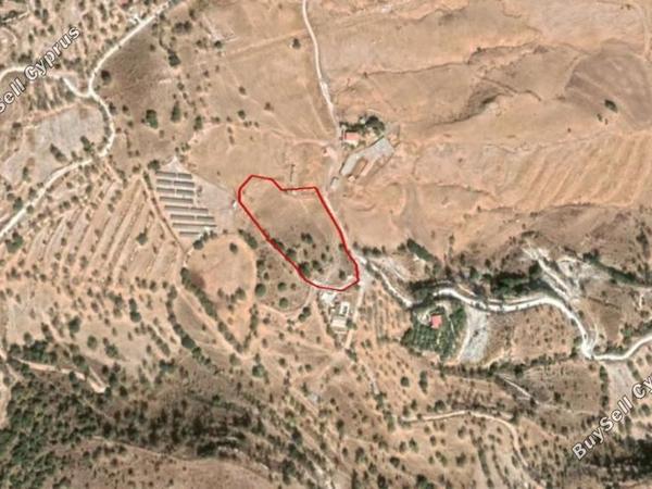 land for sale nata paphos 8630717 image 16685797
