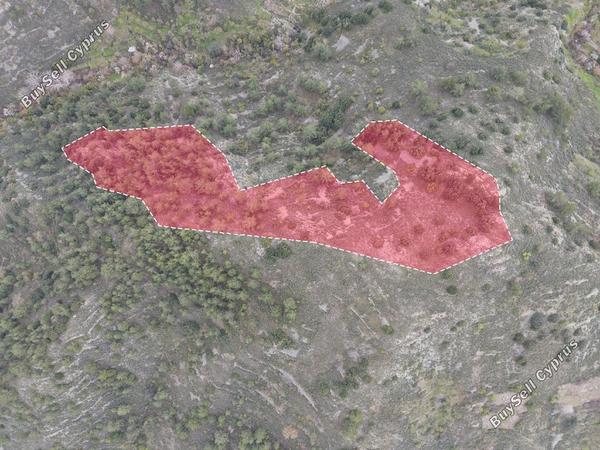 land for sale palaichori oreinis nicosia 1174717 image 3361558