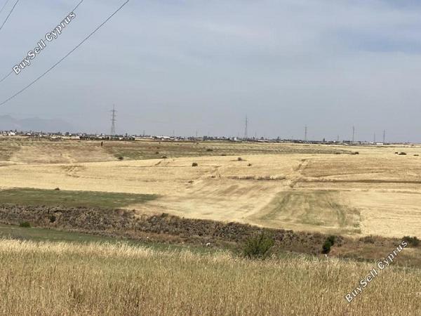 land for sale potami nicosia 8726717 image 16333513
