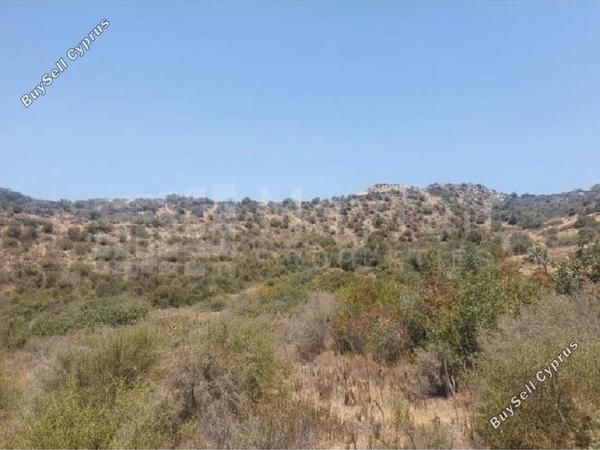 land for sale psematismenos larnaca 8219717 image 13742123