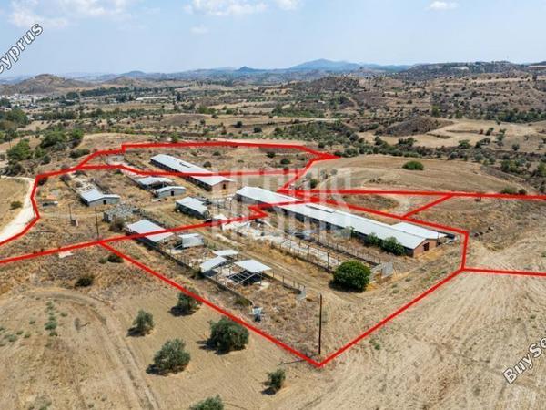 land for sale analiontas nicosia 1796817 image 10527033