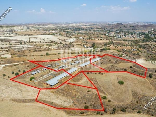land for sale analiontas nicosia 1796817 image 10527036