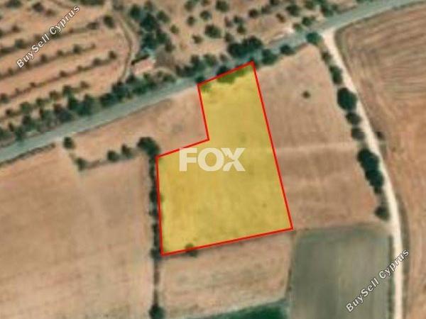 land for sale anarita paphos 1159817 image 5530142