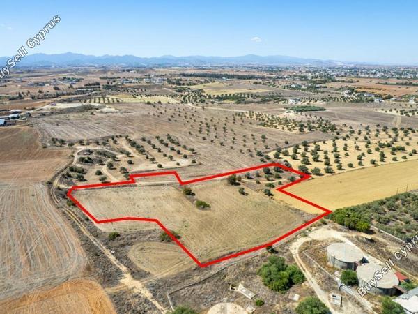 land for sale lakatamia nicosia 942817 image 6969537
