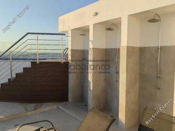 1 bedroom apartment for rent chrysopolitissa larnaca 8747917 image 16458410