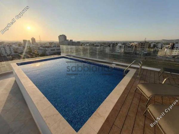 1 bedroom apartment for rent chrysopolitissa larnaca 8747917 image 16458414