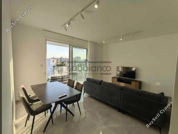 1 bedroom apartment for rent chrysopolitissa larnaca 8747917 image 16458434