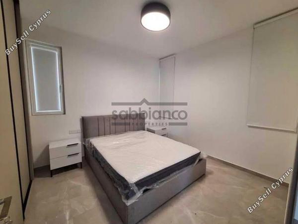 1 bedroom apartment for rent chrysopolitissa larnaca 8747917 image 16458438