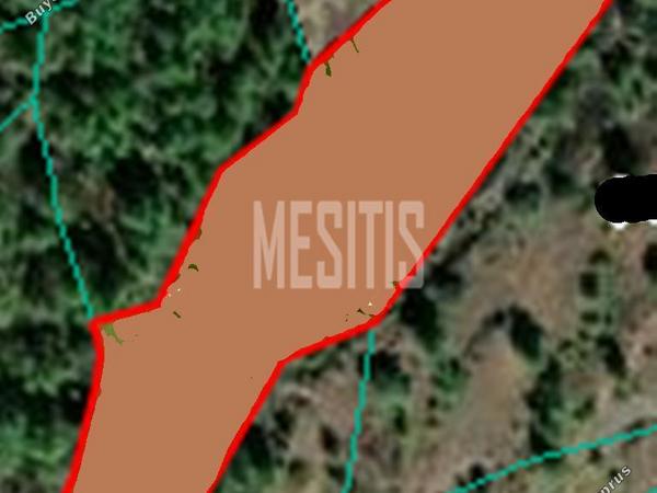 land for sale kapedes nicosia 974917 image 10471421