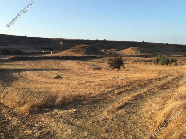 land for sale tseri nicosia 8499917 image 15320451